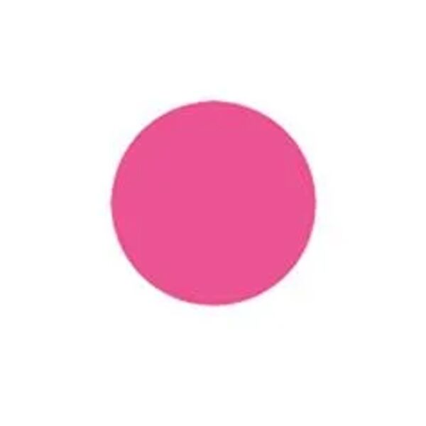 Blank 3" Circle Paper Label, Fluorescent Pink Thumbnail