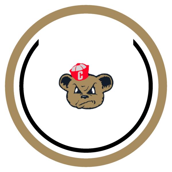 Sport Patch Arrowhead California School CSDR Logo Thumbnail