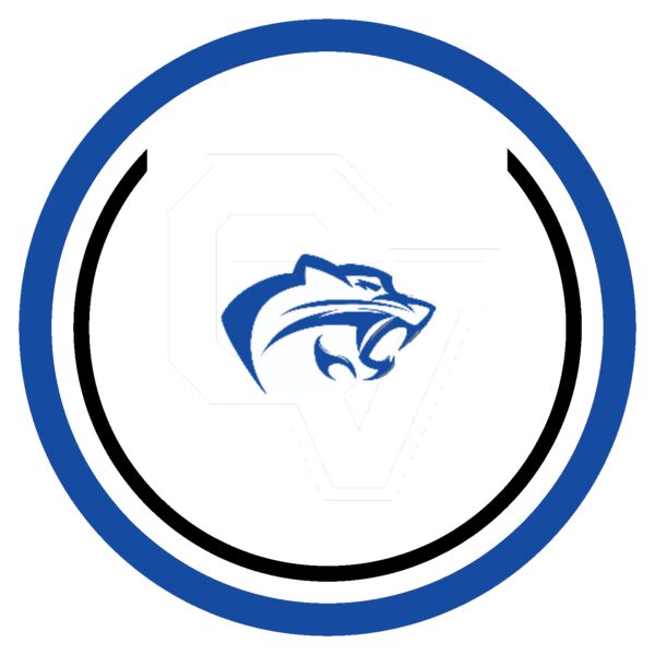 Sport Patch Cobalt Institute Logo Thumbnail