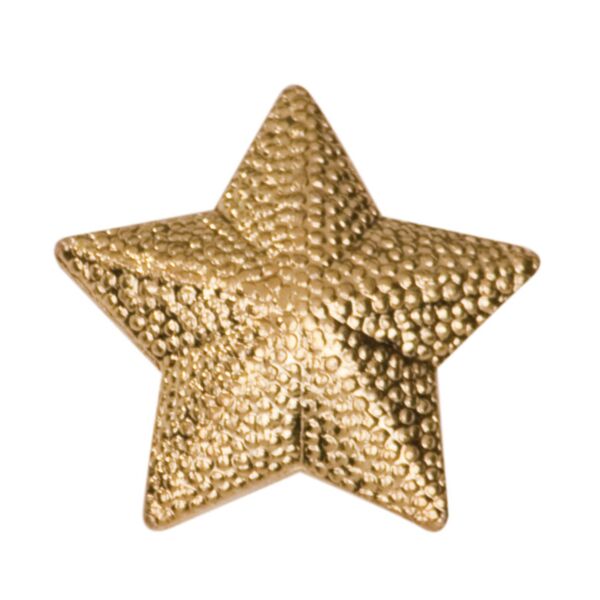 Star Letterman Jacket Chenille Lapel Metal Pin Thumbnail