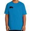 Youth Ultra Cotton ® 100% Cotton T Shirt Thumbnail
