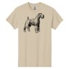 Heavy Cotton™ 100% Cotton T-Shirt Thumbnail