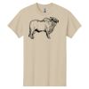 Heavy Cotton™ 100% Cotton T-Shirt Thumbnail