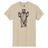 Heavy Cotton™ 100% Cotton T-Shirt Thumbnail