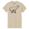 Heavy Cotton™ 100% Cotton T-Shirt Thumbnail