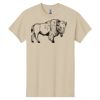 Heavy Cotton™ 100% Cotton T-Shirt Thumbnail
