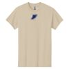 Heavy Cotton™ 100% Cotton T-Shirt Thumbnail