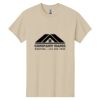 Heavy Cotton™ 100% Cotton T-Shirt Thumbnail