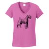 Ladies Heavy Cotton™ 100% Cotton V-Neck T-Shirt Thumbnail