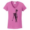 Ladies Heavy Cotton™ 100% Cotton V-Neck T-Shirt Thumbnail