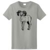 Ladies Ultra Cotton ® 100% Cotton T Shirt Thumbnail