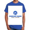 Ultra Cotton ® 100% Cotton T Shirt Thumbnail